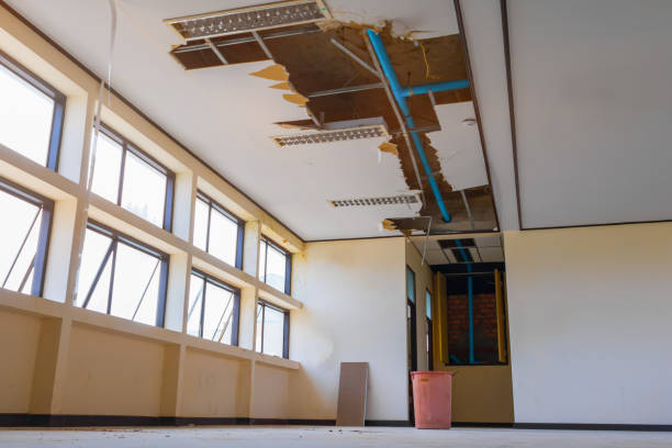 Best Flood damage cleanup  in The Plains, OH