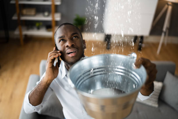 Best Water damage restoration near me  in The Plains, OH