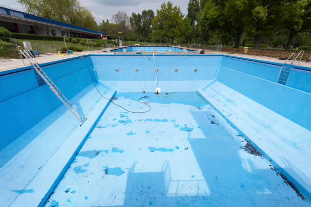 Best Water damage contractors near me  in The Plains, OH