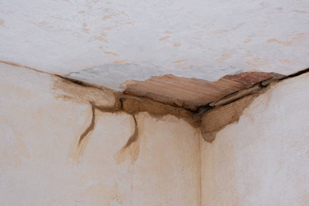 Best 24-hour water damage restoration  in The Plains, OH
