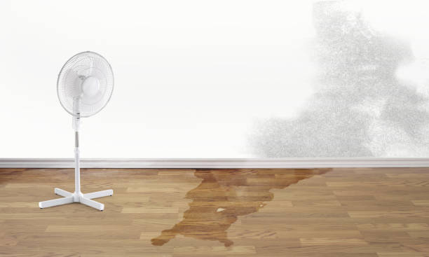Best Emergency water damage restoration  in The Plains, OH
