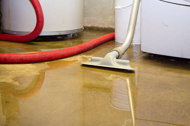 Best Sewage cleanup and water damage restoration  in The Plains, OH