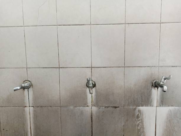 Best Water damage contractors near me  in The Plains, OH