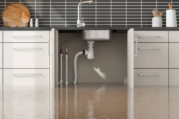 Best Ceiling water damage repair  in The Plains, OH