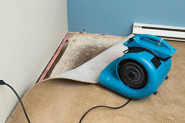 Best Residential water damage restoration  in The Plains, OH